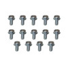Moroso 38780 - GM Powerglide Stamped Steel Transmission Pan Bolts - Set of 14