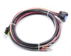 MSD MSD29774 - Replacement Wire Harness 6201 & 6425 Ignition Box