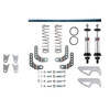 QA1 DS501-12175V - Pro Rear Weld-In Coil-Over System - Single Adj. - 12in x 175/350lbs/in - 3in Tube - Aluminum