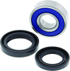 QuadBoss 411432 - 06-09 Arctic Cat 250 2x4 Lower Steering Bearing Kit
