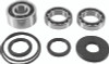 QuadBoss 412647 - 2017 Polaris RZR 4 900 (02) Front Differential Bearing & Seal Kit