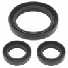 QuadBoss 414121 - 04-06 Yamaha YFM350 Bruin 4x4 Front Differential Seal Kit