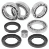 QuadBoss 414565 - 13-15 Arctic Cat Wildcat 1000 Rear Differential Bearing & Seal Kit