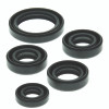 QuadBoss 564091 - 88-02 Kawasaki KLF220 Bayou Oil Seal Set