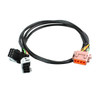 Racepak 280-CA-LSUB-AMP - Air Fuel Harness B Side Amp