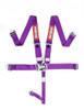 Racequip 711051 - Purple L & L 5pt Seat Belt