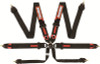 Racequip 851001 - Black FIA CAMLOCK 6pt Pull Down Lap