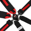 Racequip 855005RQP - FIA 6 Point Camlock Harness Set