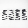 RS-R T996D - 15+ Lexus RC350 AWD (GSC10) Down Sus Springs
