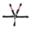 Simpson Safety 12LD5WC - Simpson Latch & Link SFI Harness 2" Double Pull down SFI 16.1
