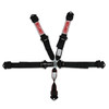 Simpson Safety 12LD5WB - Simpson Latch & Link SFI Harness 2" Double Pull down SFI 16.1