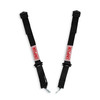 Simpson Safety 12LD5WB - Simpson Latch & Link SFI Harness 2" Double Pull down SFI 16.1