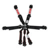 Simpson Safety 12LD7WB - Simpson Latch & Link Harness 2" Double Pull down SFI 16.1