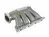 Skunk2 307-05-0310 - Pro Series 02-06 Honda/Acura K20A2/K20A3 Intake Manifold (Race Only)