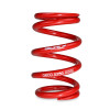 Skunk2 521-99-0995 - Universal Race Spring (Elliptical) - 6 in.L - 2.5 in.ID - 8kg/mm (0600.250.008E)