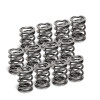 Supertech SPR-V2093-4-12 - VW VR6 Dual Valve Spring - Set of 12