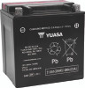 Yuasa Battery YUAM6230XPW - Yuasa YIX30L-BS-PW High Performance Maintenance Free AGM 12-Volt Battery w/Bottle