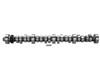 Ford Racing M-6250-F303 - Small Block V-8 Hydraulic Roller Tappet Camshafts