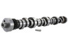 Ford Racing M-6250-E303 - Small Block V-8 Hydraulic Roller Tappet Camshafts