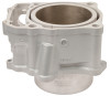 Cylinder Works 10009 - 08-09 Honda TRX 700 XX 700cc Standard Bore 102mm