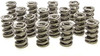 PAC Racing PAC-1340-16 - 1.500 Dual Valve Springs (16)