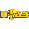 N-Fab ASC1498CC