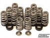 GSC Power Division 5017 - GSC P-D Toyota G16E Conical Valve Spring and Ti Retainer Kit
