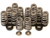 GSC Power Division 5017 - GSC P-D Toyota G16E Conical Valve Spring and Ti Retainer Kit