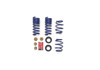 Ford Racing M-5300-S62T - 2024 Mustang 2.3L Track Lowering Spring Kit