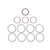 Holley EFI 300-906 - O-ring Kit for Ford 7.3L Godzilla