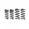RS-R N135D - 2023+ Nissan Z (RZ34) Down Sus Springs