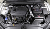 AEM Induction 21-872C - AEM C.A.S. 19-20 Hyundai Veloster L4-1.6L F/I Cold Air Intake