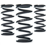 AST AST-80-150-61 - Linear Race Springs - 80mm Length x 150 N/mm Rate x 61mm ID - Single
