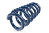 Dinan D100-0938 - Performance Coil Spring Set