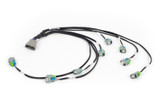 Haltech HT-186502 - NEXUS Rebel LS EV6 Injector Sub-Harness