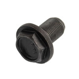 Motive Gear RGB19 -  Ring Gear Bolt