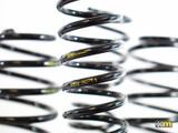 mountune 2536-MSK-RS1 - Sport Spring Set 16-17 Ford Focus RS