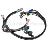 NAMZ NHD-70233-02 - 02-03 V-Twin Dresser Models ONLY OEM Complete EFI Harness