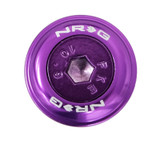 NRG FW-150PP - Fender Washer Kit w/Color Matched M6 Bolt Rivets For Plastic (Purple) - Set of 10
