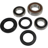 Pivot Works 25-1392-P - Pw Premium Wheel Bearing