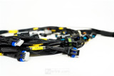 Rywire RY-LS3-E38 - GM LS3 V8 E38 ECU Engine Harness w/Bosch MAP Option (Req PDM/Fuse Box/Mating Connector)