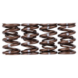 Skunk2 311-05-7380 - Pro Series Honda/Acura K-Series i-VTEC XP Valve Spring Set (Dual Springs)