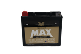 TwinPower 485021 - Twin Power GYZ-20H Premium MAX Battery Replaces H-D 65991-82B Made in USA 320 CCA