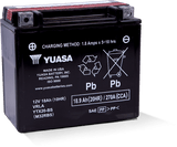 Yuasa Battery YUAM32RBS - Yuasa YTX20-BS Maintenance Free AGM 12-Volt Battery w/Bottle