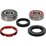 Pivot Works 25-1204-P - Honda Wheel Bearing Kit Premium Bearings