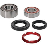 Pivot Works 25-1203-P - Honda Wheel Bearing Kit Premium Bearings