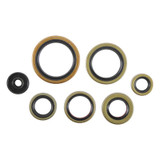 Vertex Pistons 822976 - Vertex Gaskets 21-23 Gas-Gas EC250 Oil Seal Kit