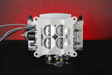 Sniper 550-510-BPR - Holley  2 EFI - Shiny