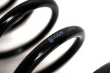 Icon 95230 - 21-24 Raptor Triple Rate Coil Spring Kit