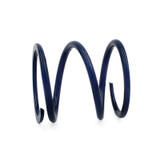 EPI POLHD3 - 24+ Polaris RZR XP 1000/ Xpedition XP/ADV Primary Clutch Spring Dark Blue